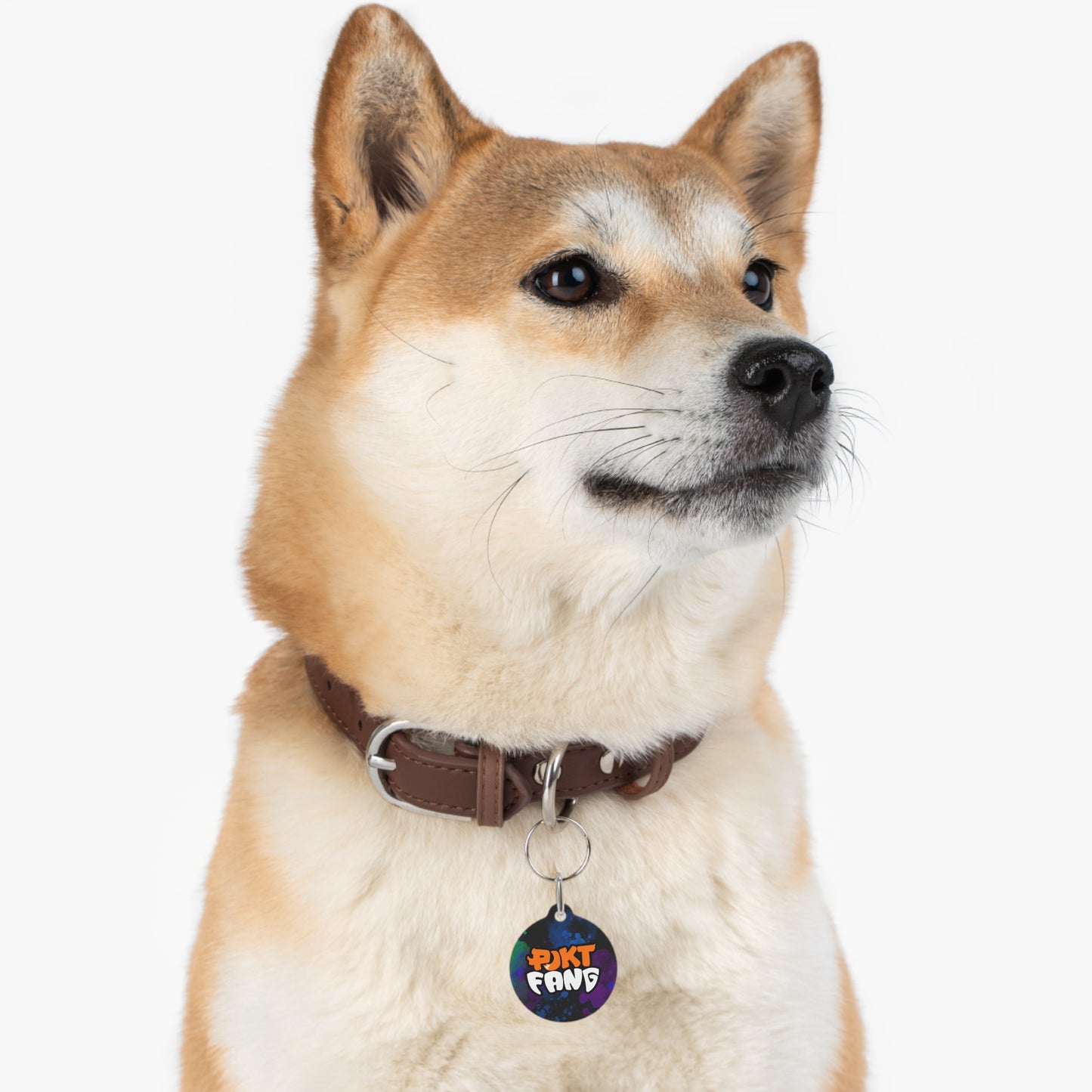 PJKT Fang - Pet Tag